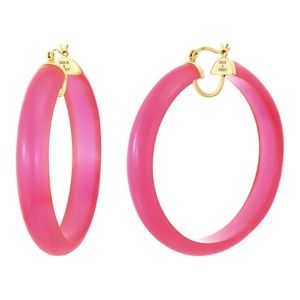 Gold & Honey Pink Frosted Lucite Hoops - image 1